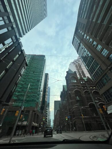 All Win Education student life in Toronto 14